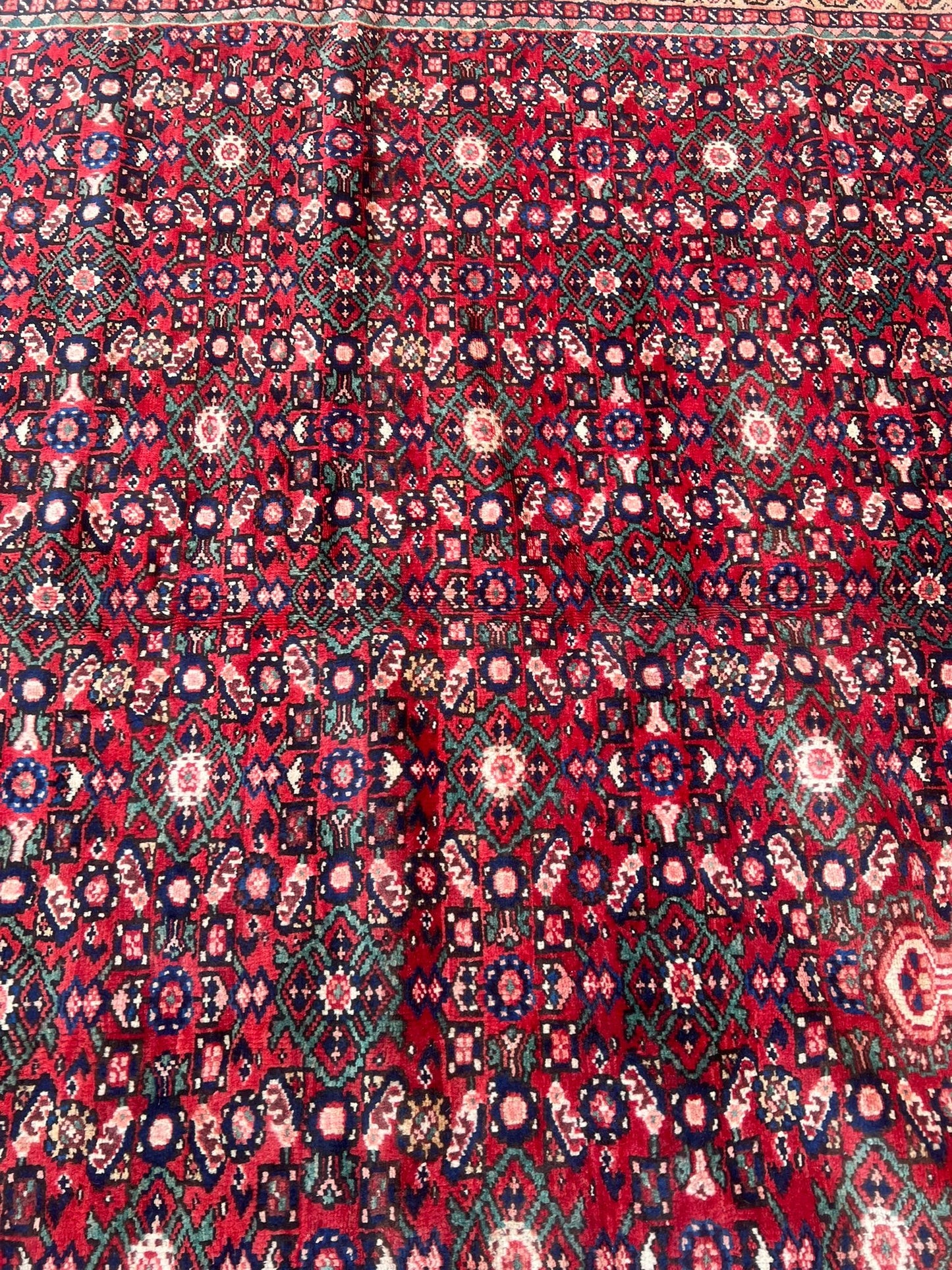 CARPET