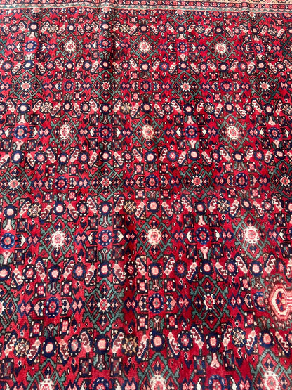 CARPET