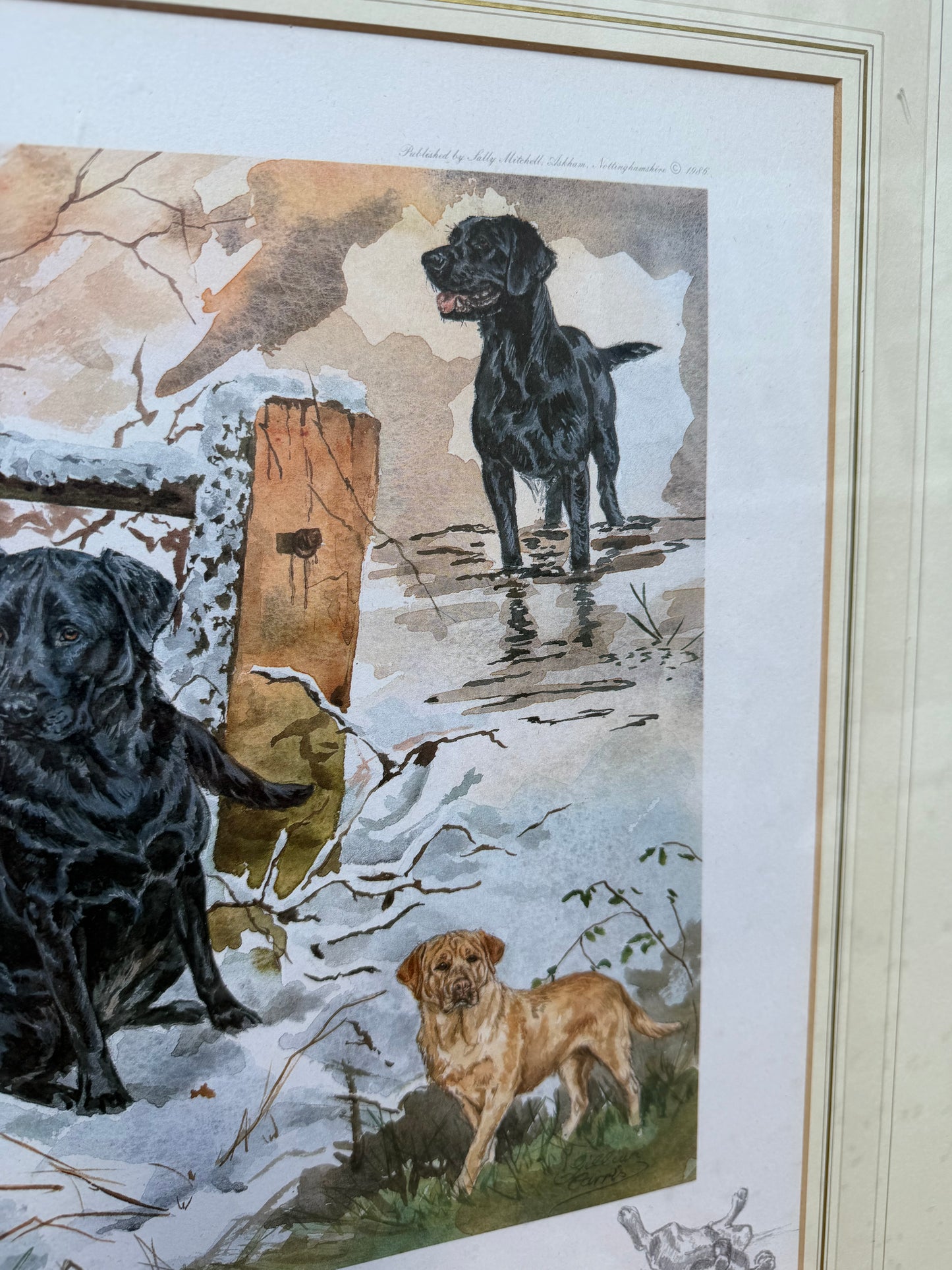 LABRADORS