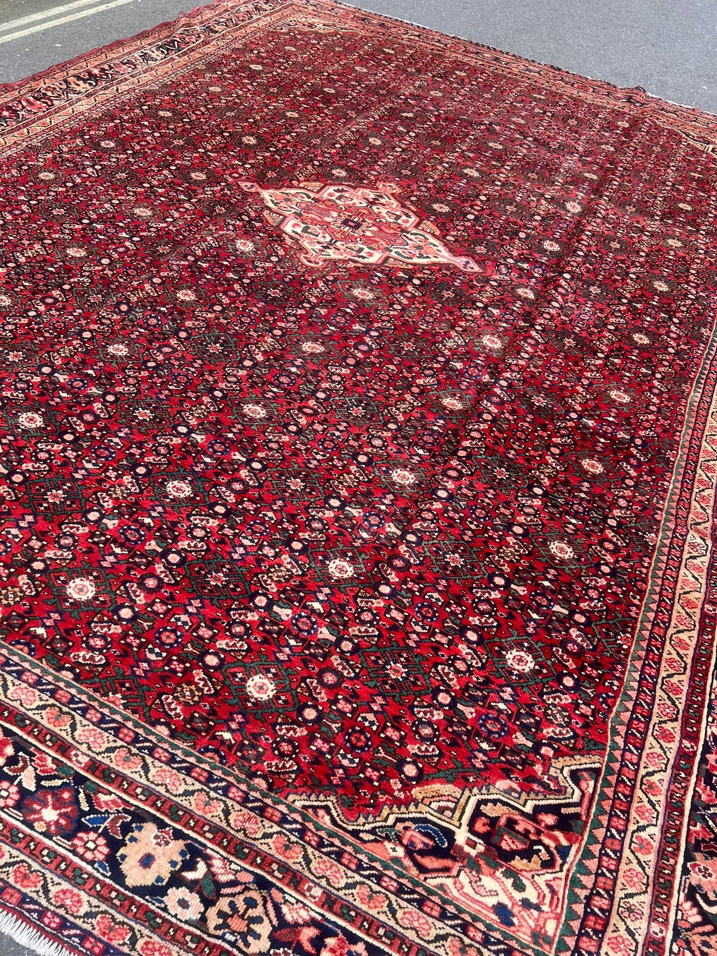 CARPET