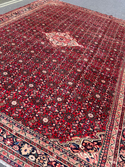 CARPET