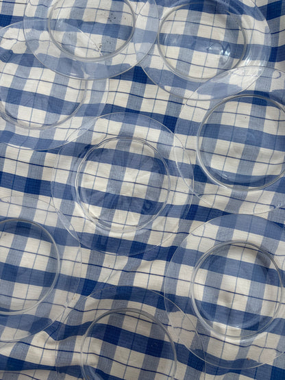 10 GLASS PLATES