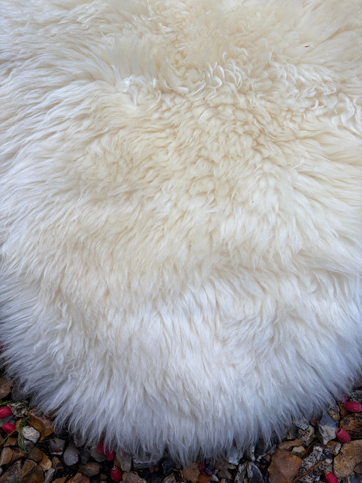 SHEEPSKINS