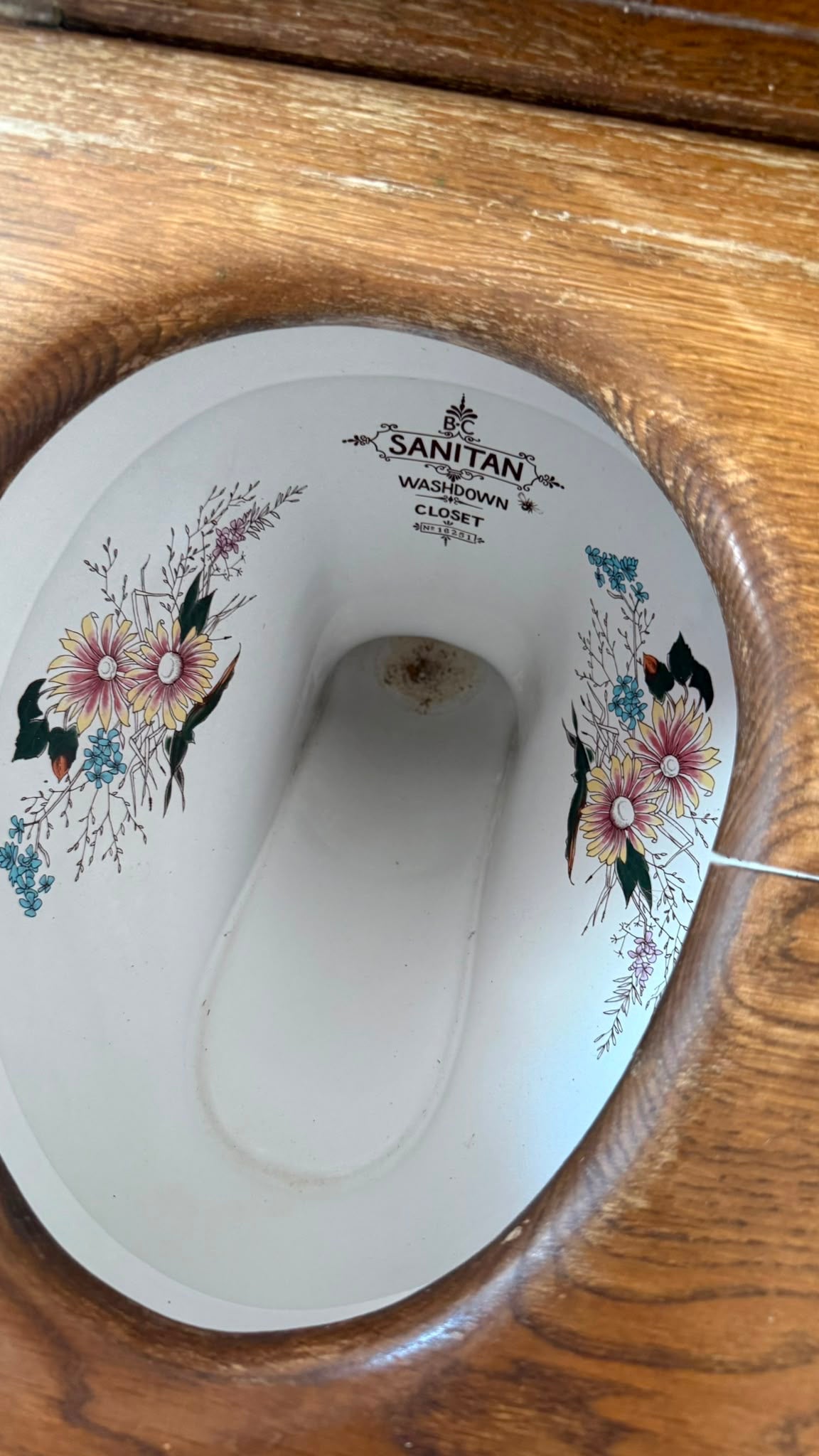 LOO