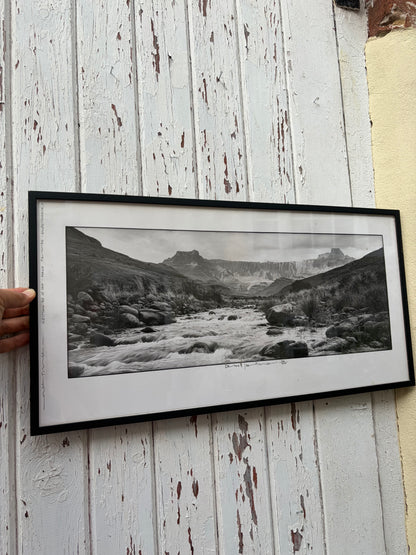 LIMITED EDITION PHOTOGRAPH