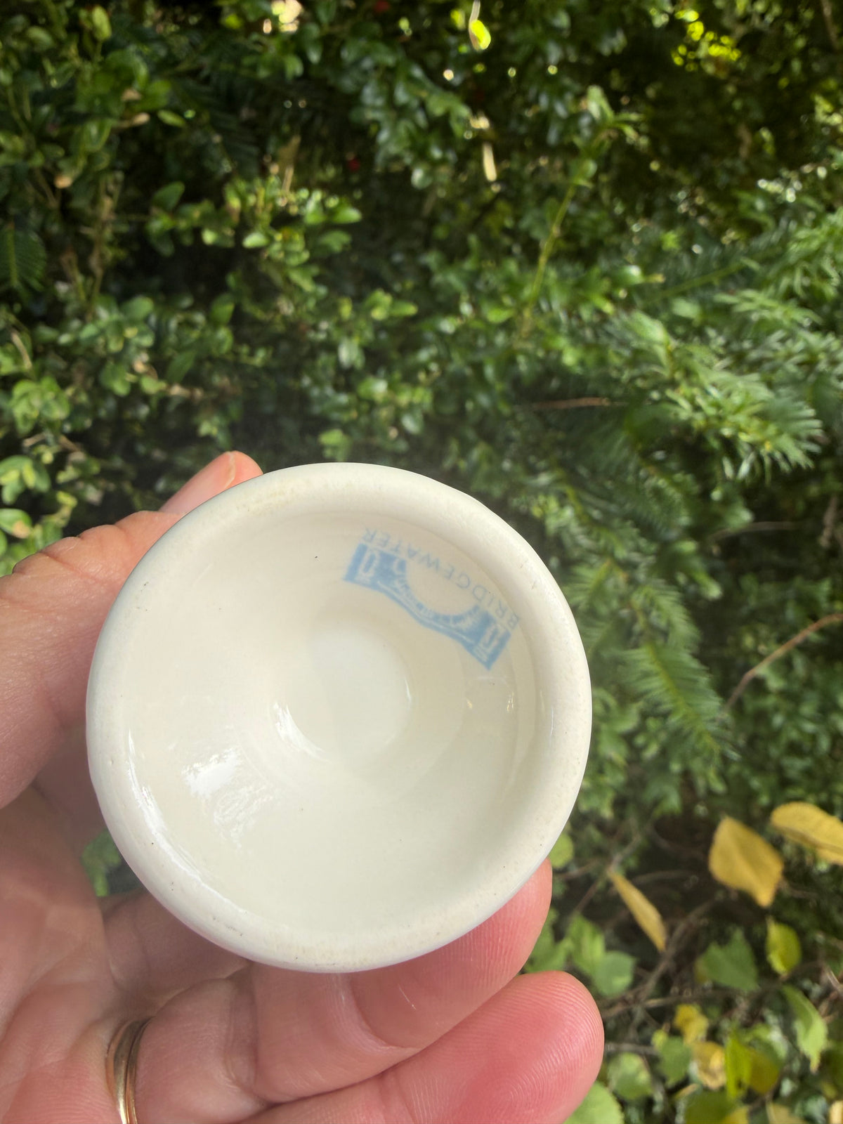 EGGCUP