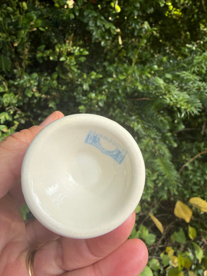 EGGCUP