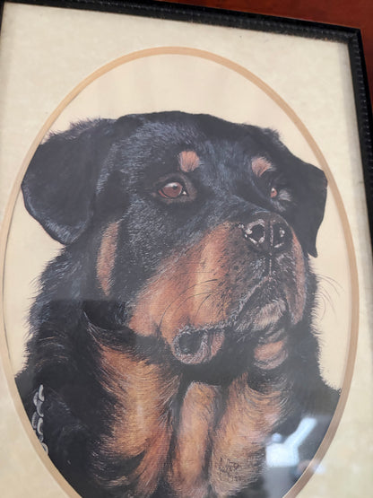 PORTRAIT OF A DOG