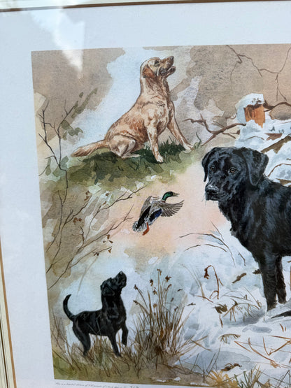 LABRADORS