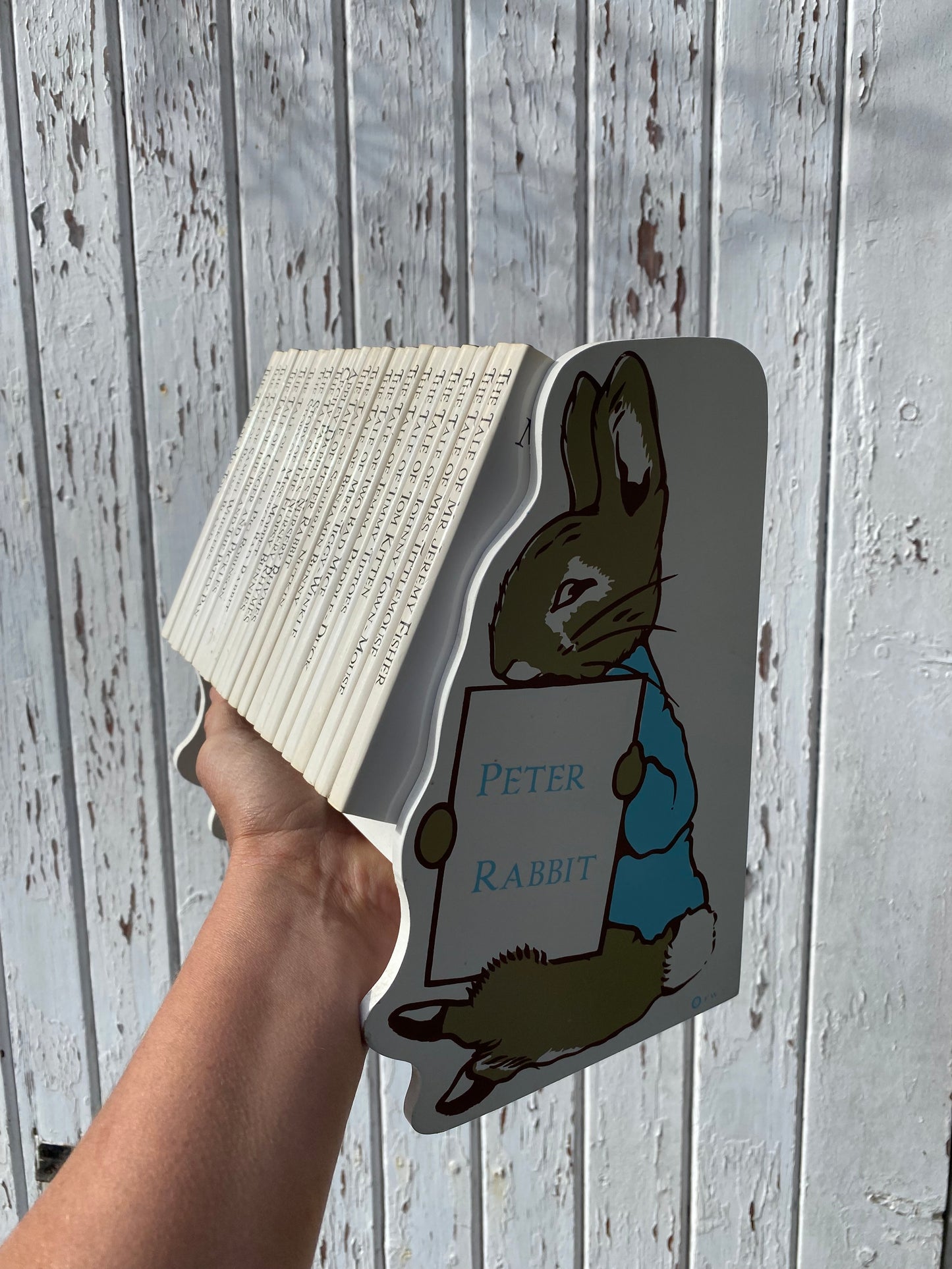 POTTER BOOKS AND SHELF