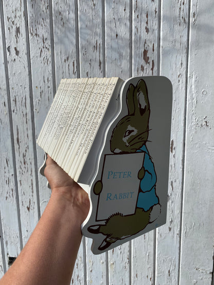 POTTER BOOKS AND SHELF