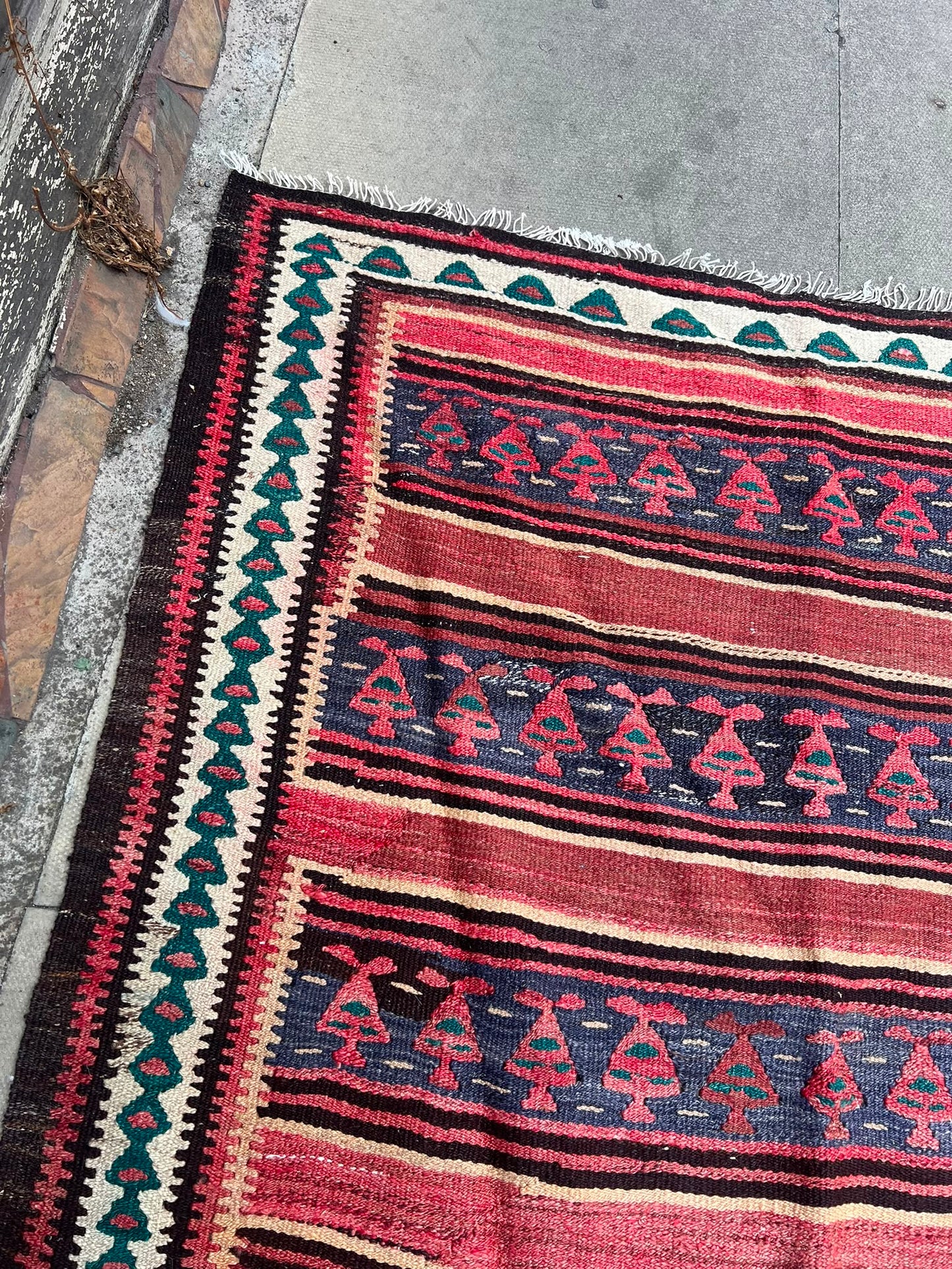 RUG