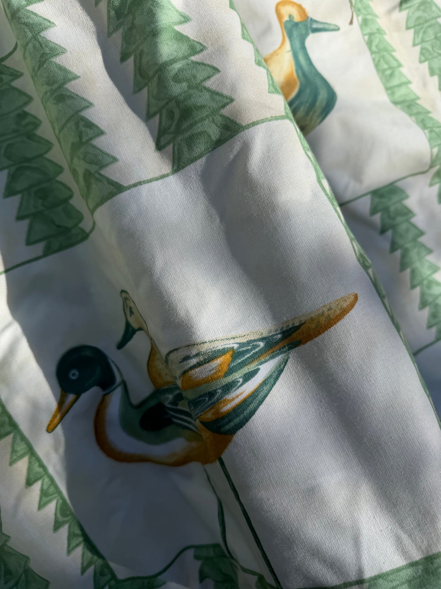 CURTAINS
