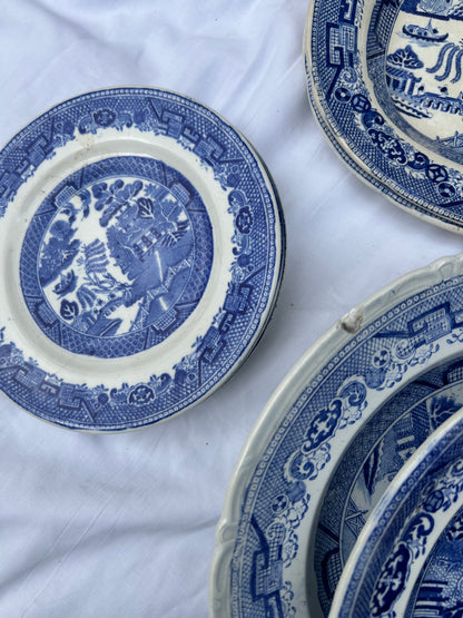 WILLOW CHINA