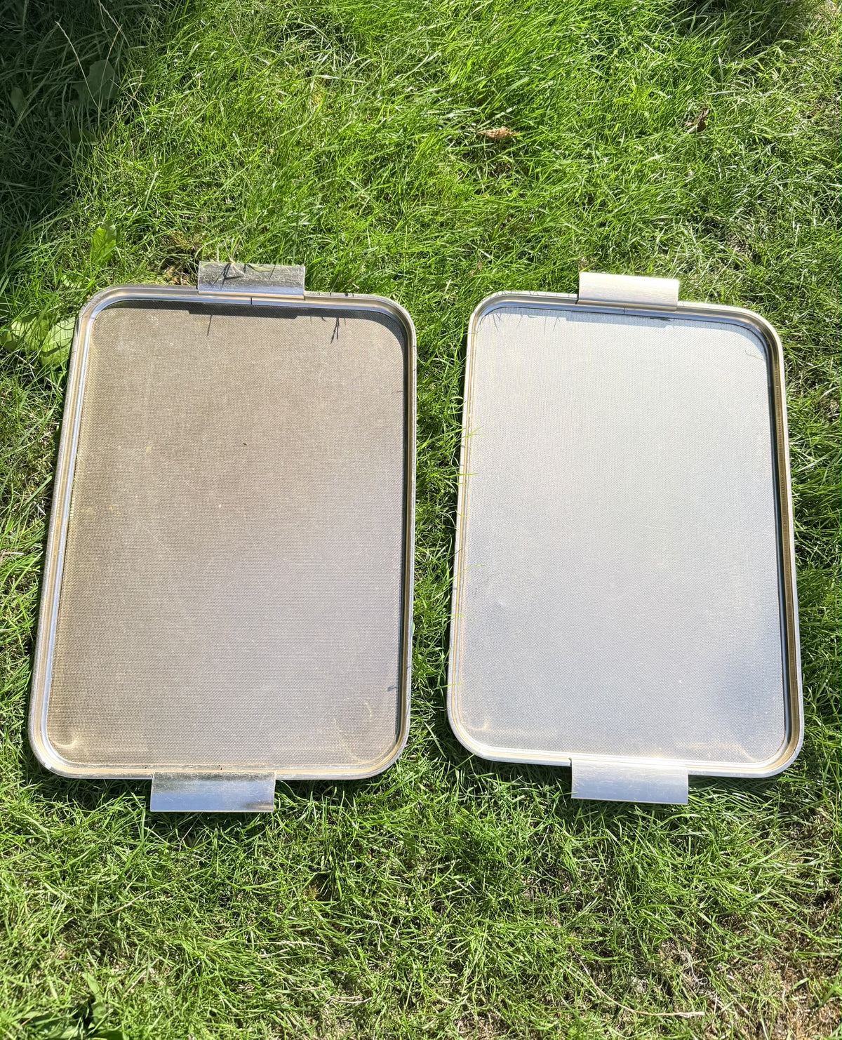 TRAYS