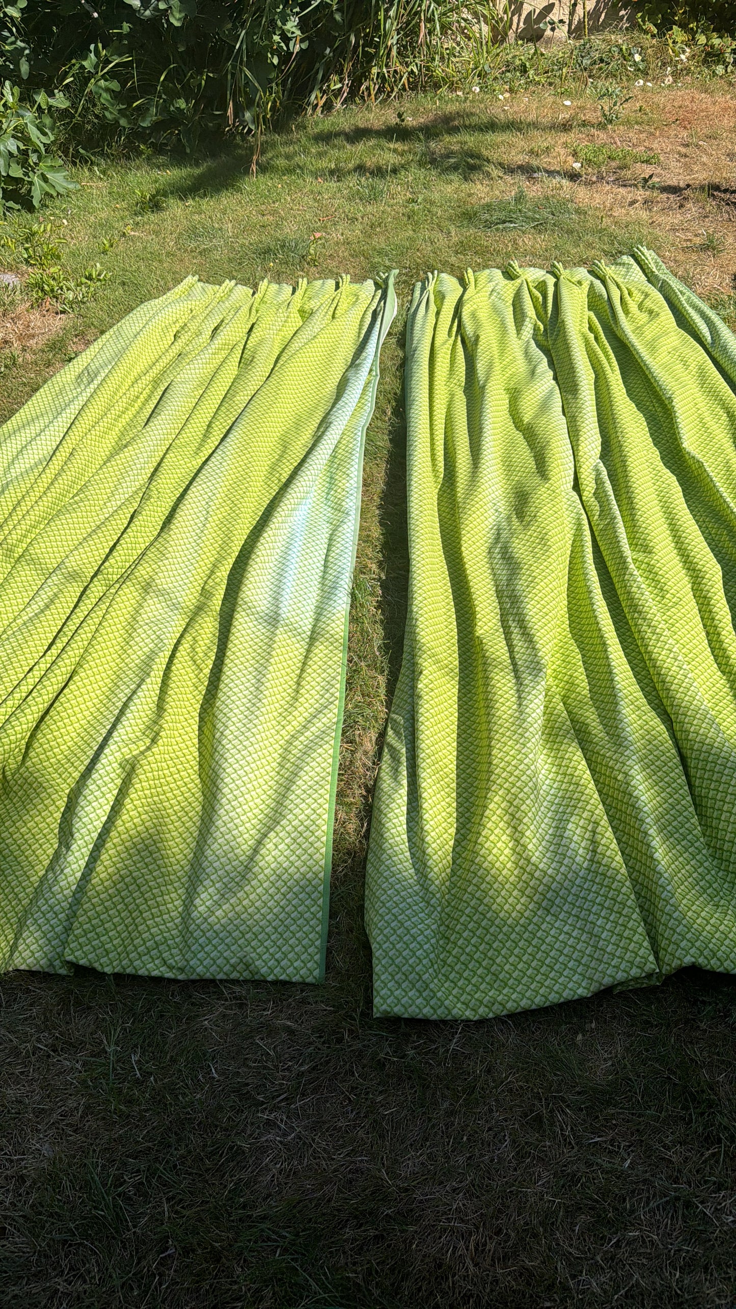CURTAINS
