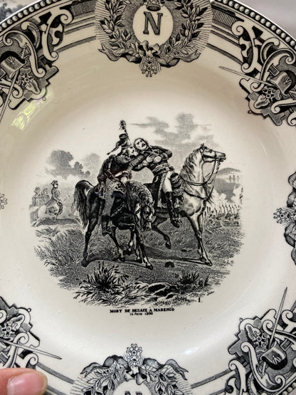 NAPOLEONS BATTLES