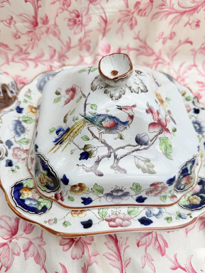 DUO LIDDED DISHES