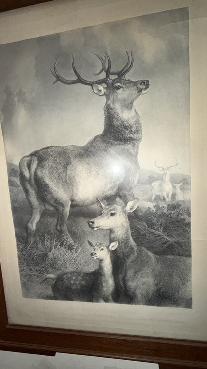 LANDSEER PRINT