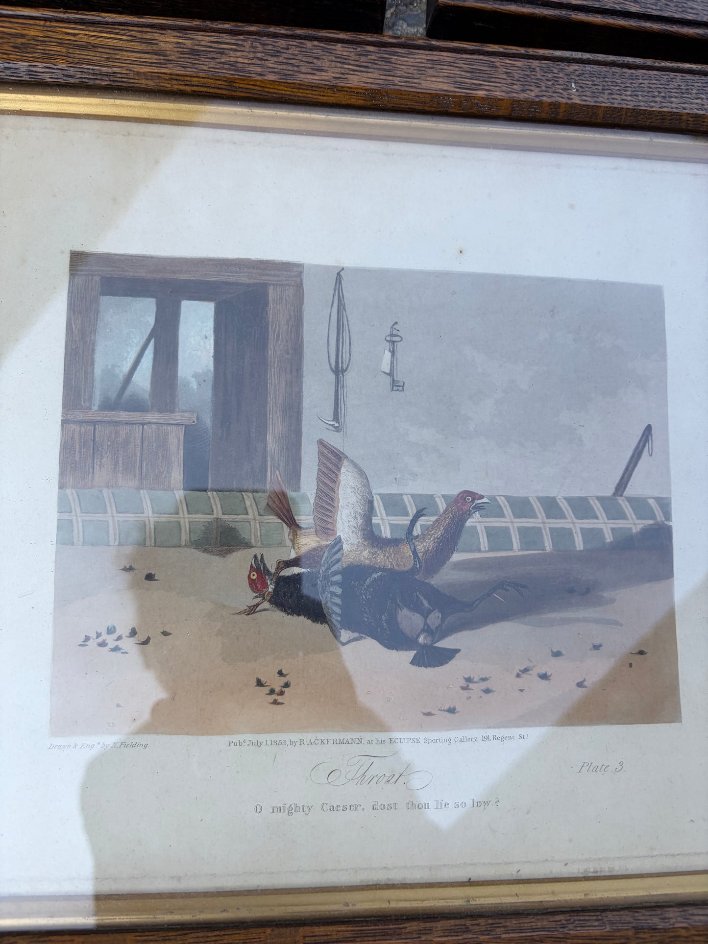 ANTIQUE PRINTS