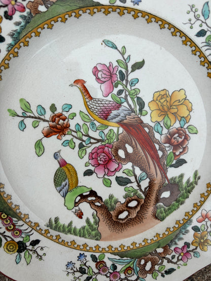 SPODE