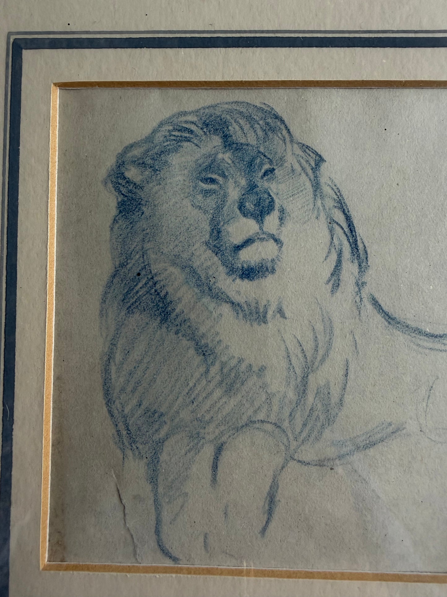 LION DRAWING