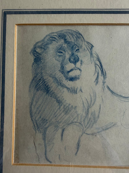 LION DRAWING