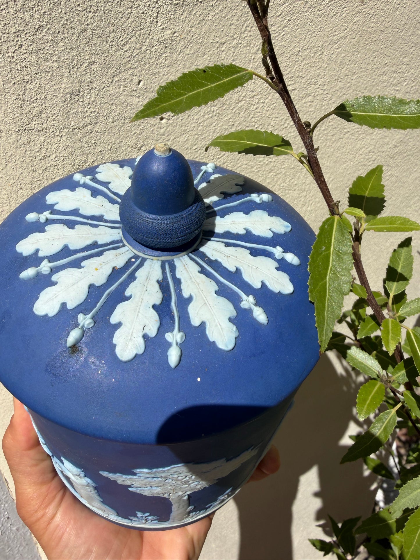 WEDGWOOD POT