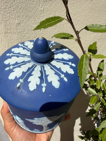 WEDGWOOD POT