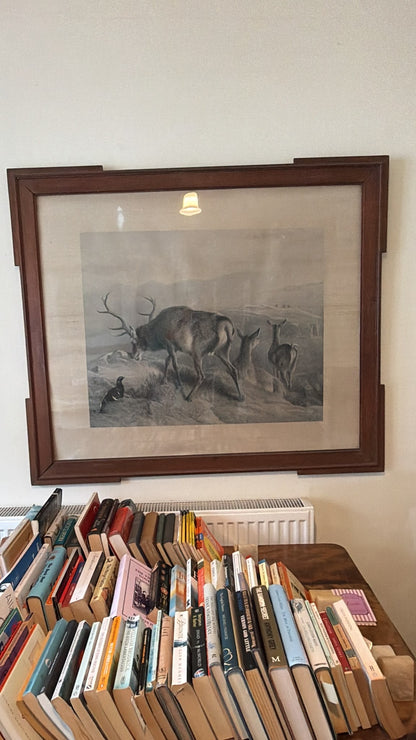 LANDSEER PRINT