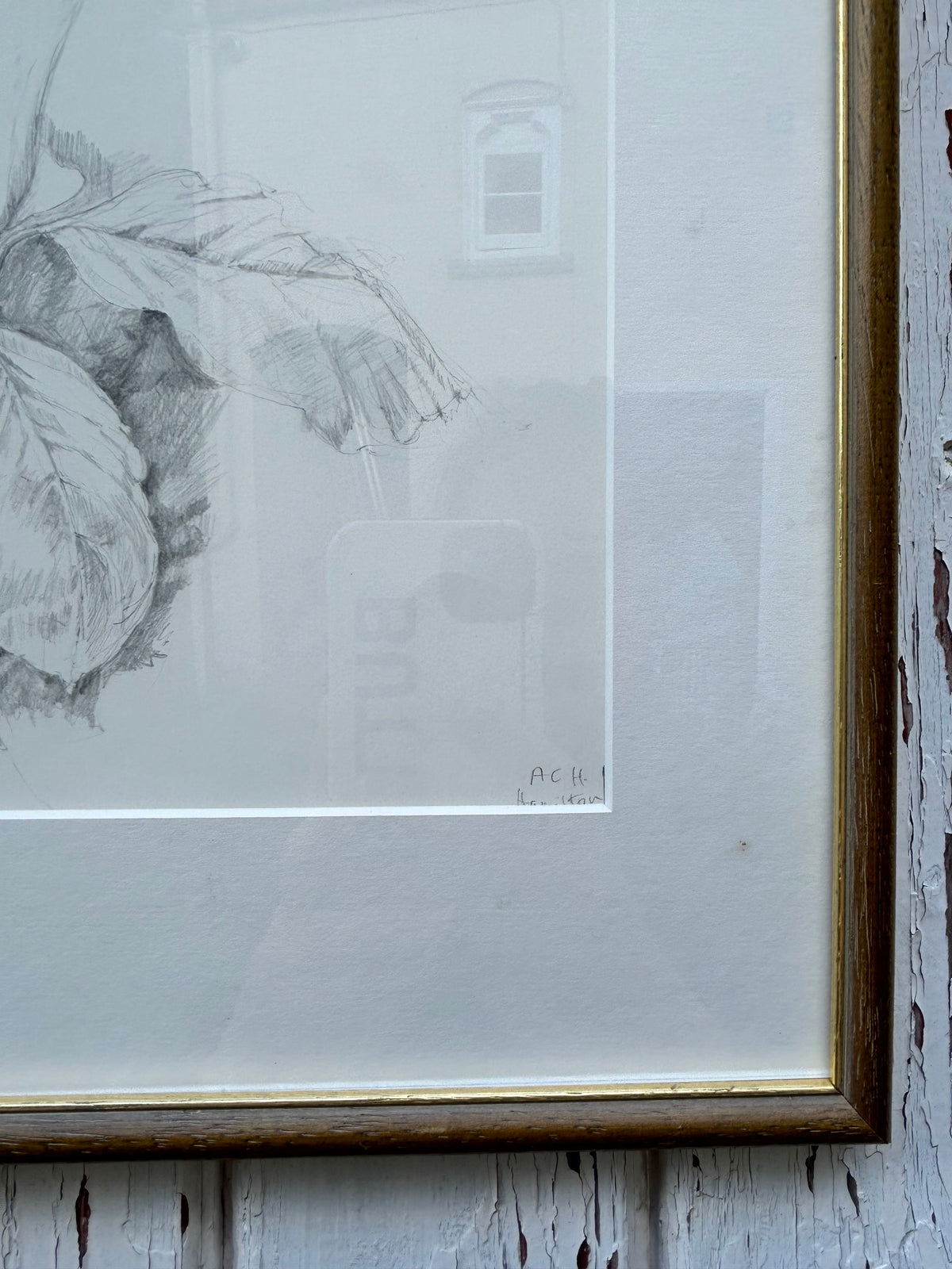 OAK LEAVES DRAWING