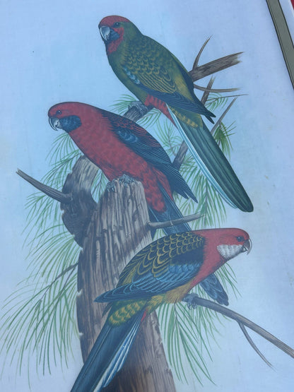 PAIR PRINTS