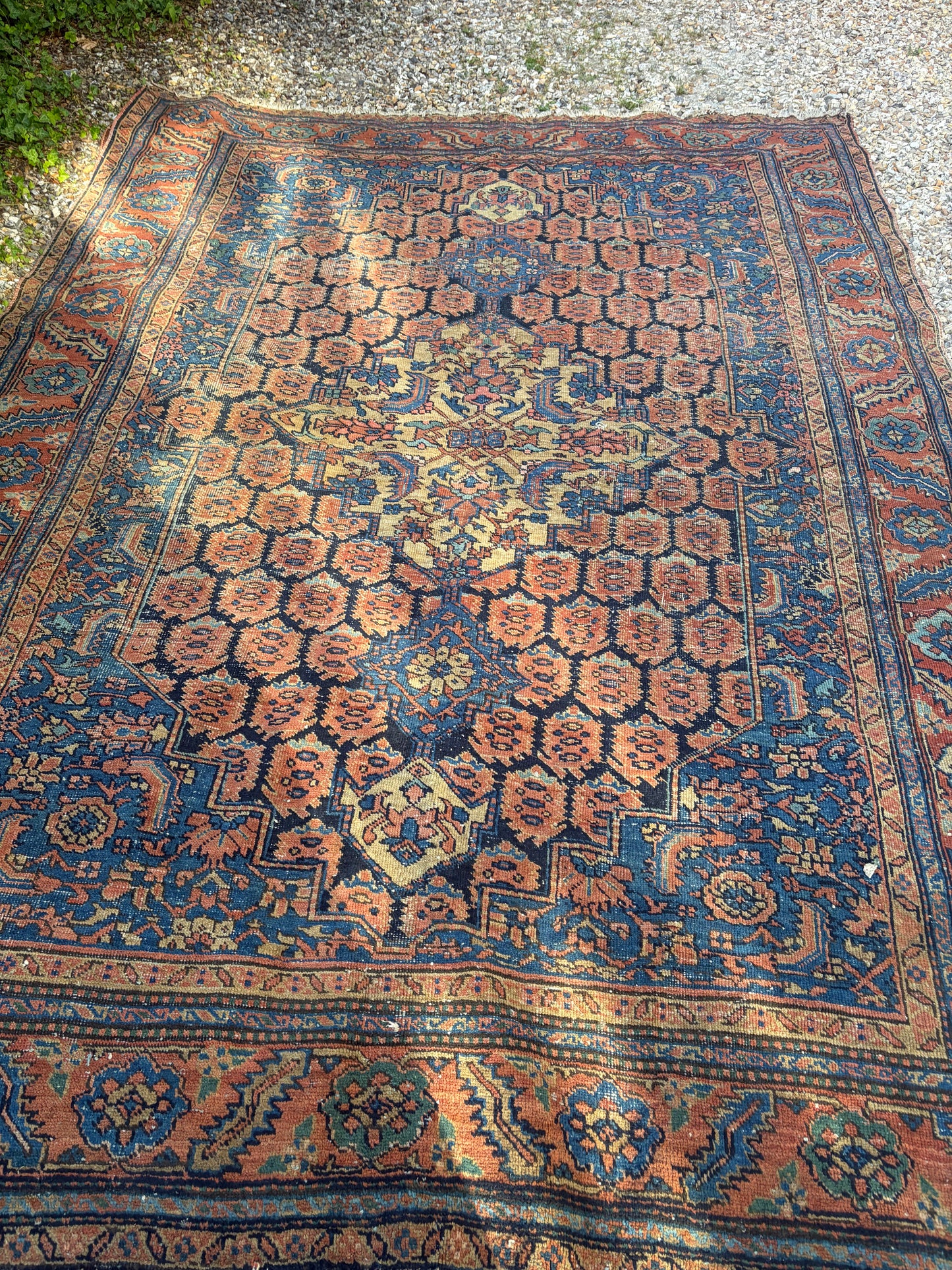 CARPET