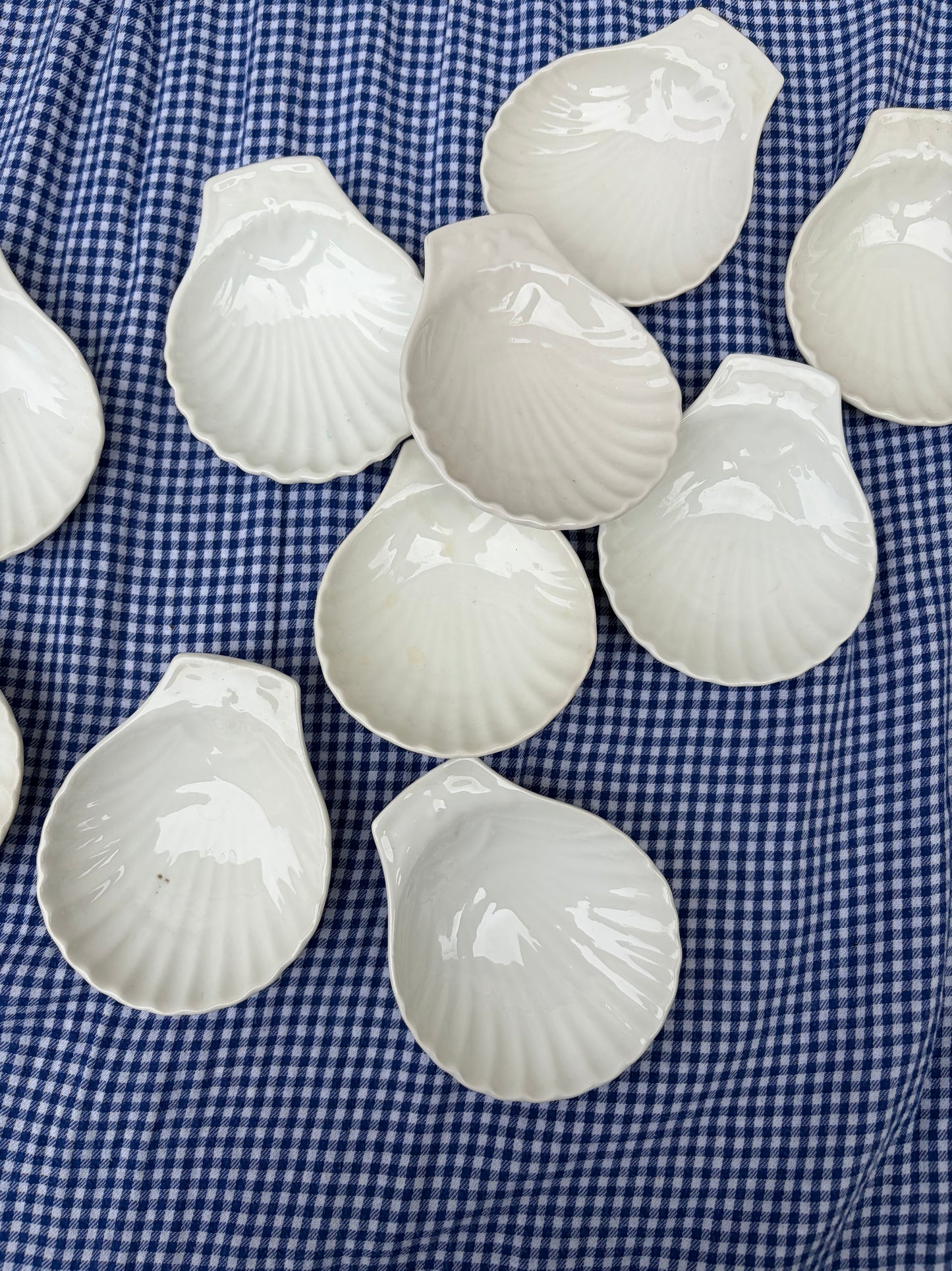 10 SHELL DISHES