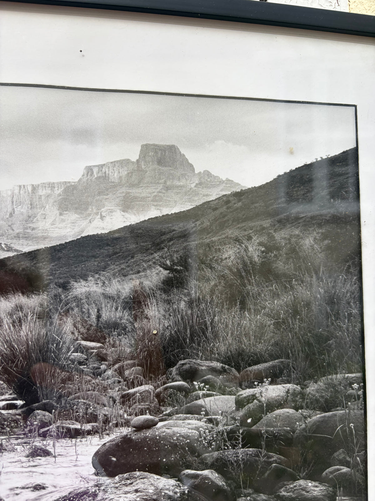 LIMITED EDITION PHOTOGRAPH