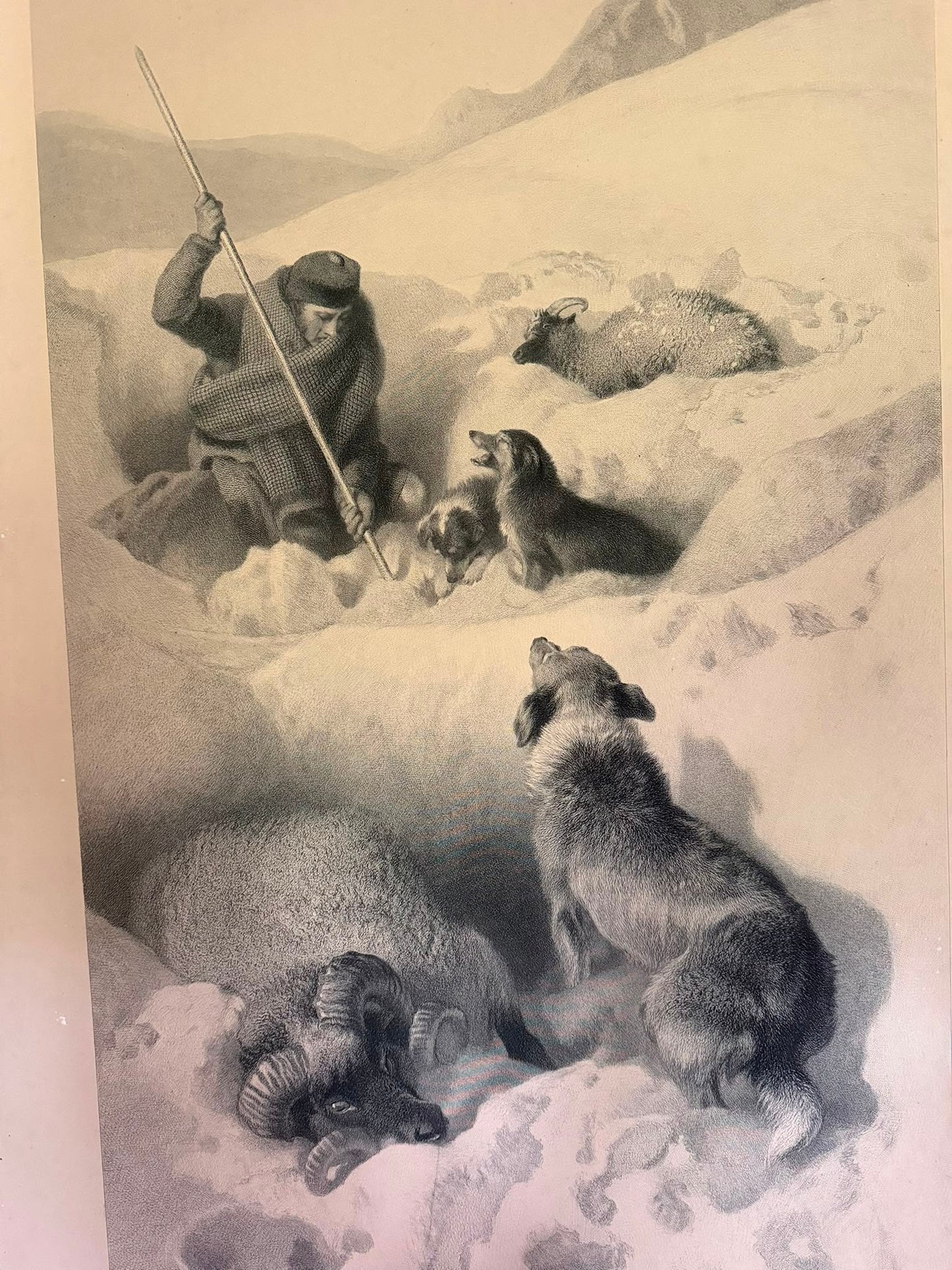 LANDSEER PRINT