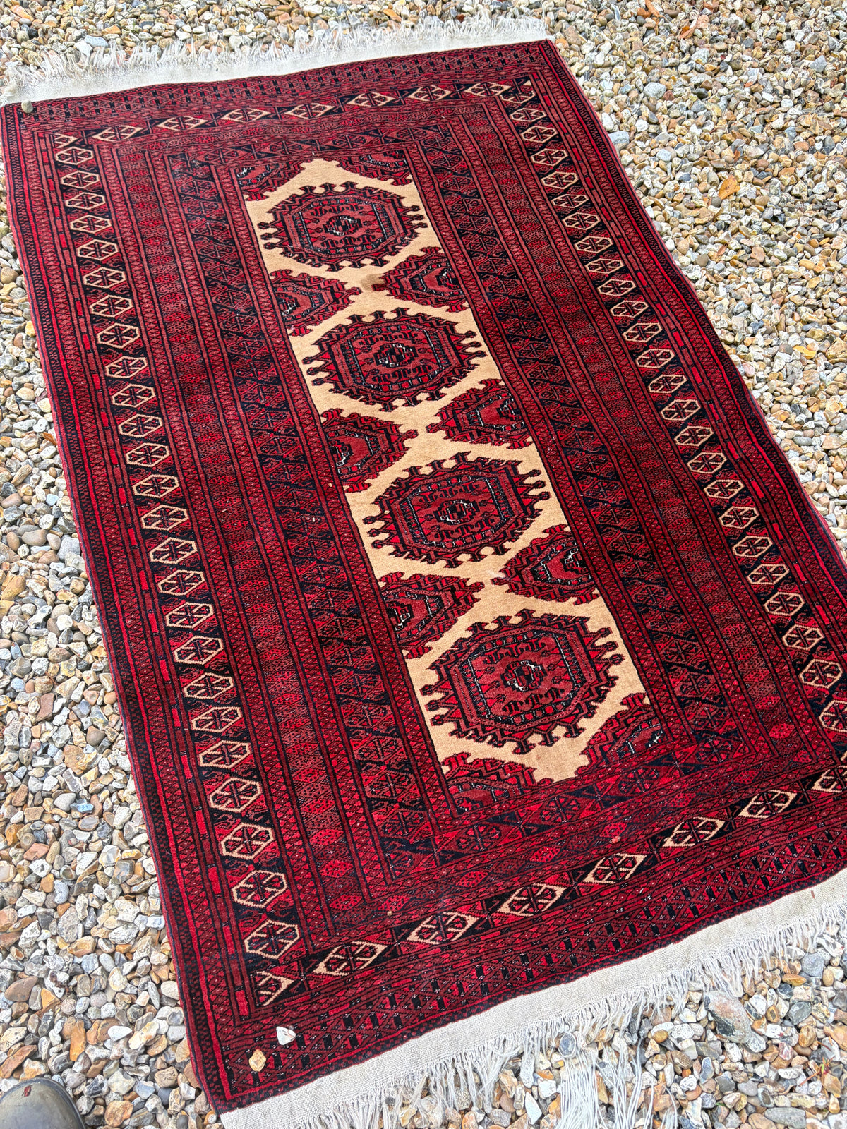 CARPET