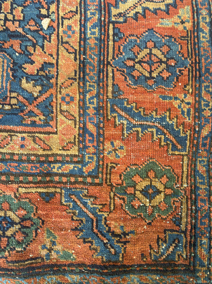 CARPET