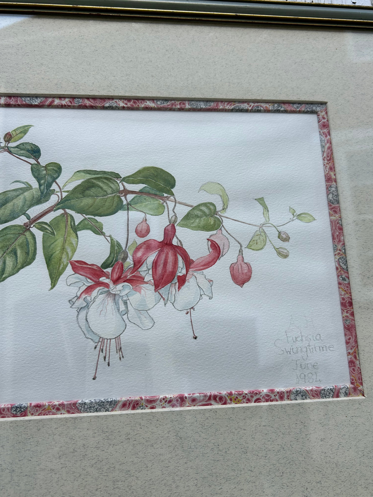 FUSCHIA DRAWING
