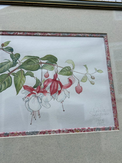FUSCHIA DRAWING