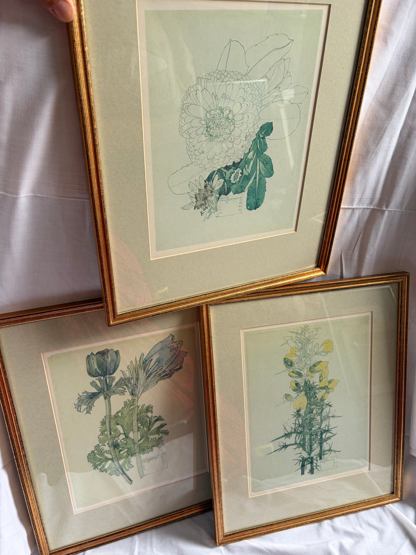 FLOWER PRINTS