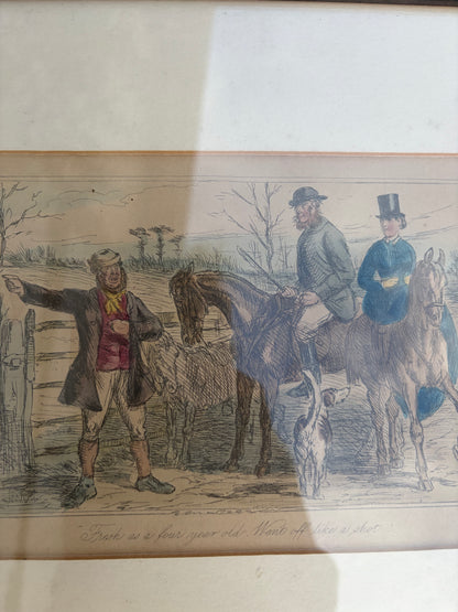 HORSE PICTURES