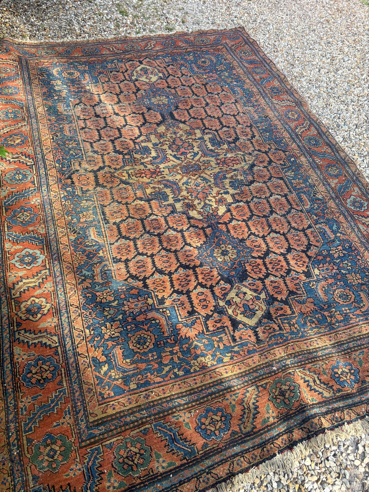 CARPET