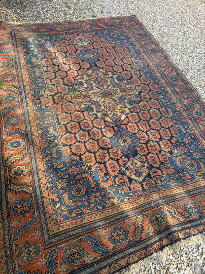 CARPET