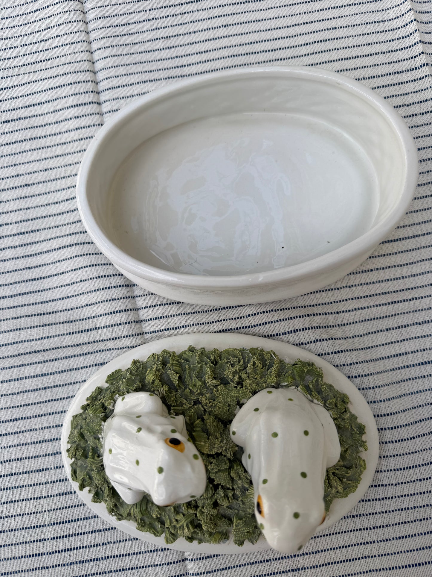 FROG JARS