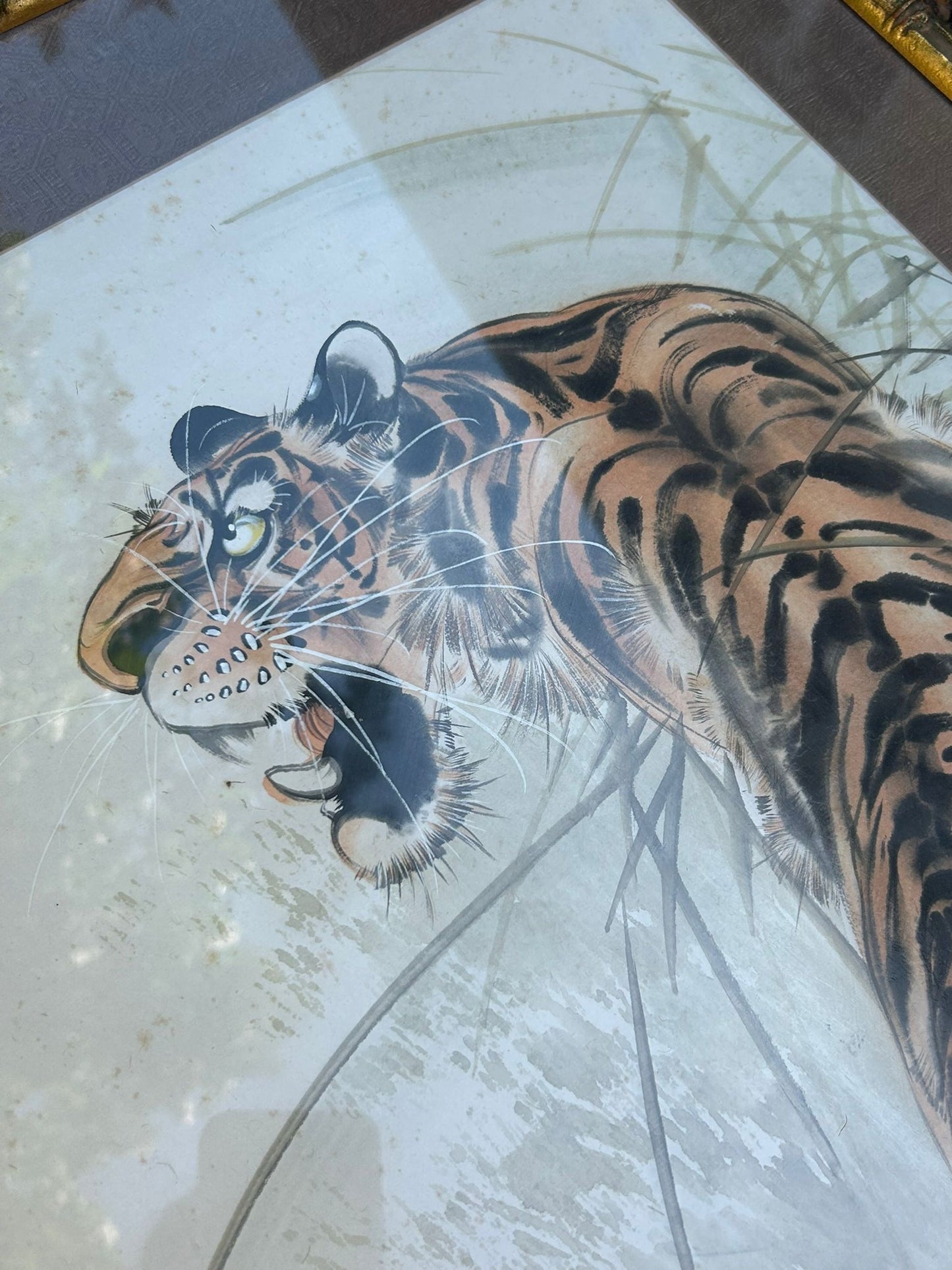 TIGER PICTURE