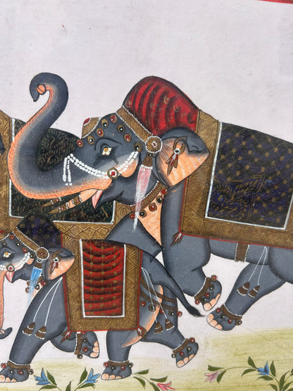 ELEPHANT PICTURE
