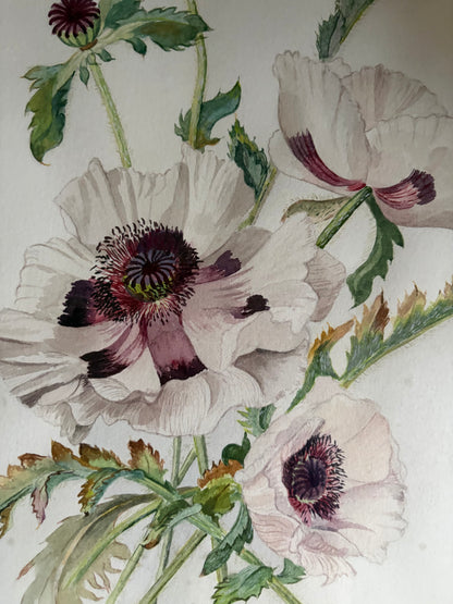 ORIGINAL WATERCOLOUR
