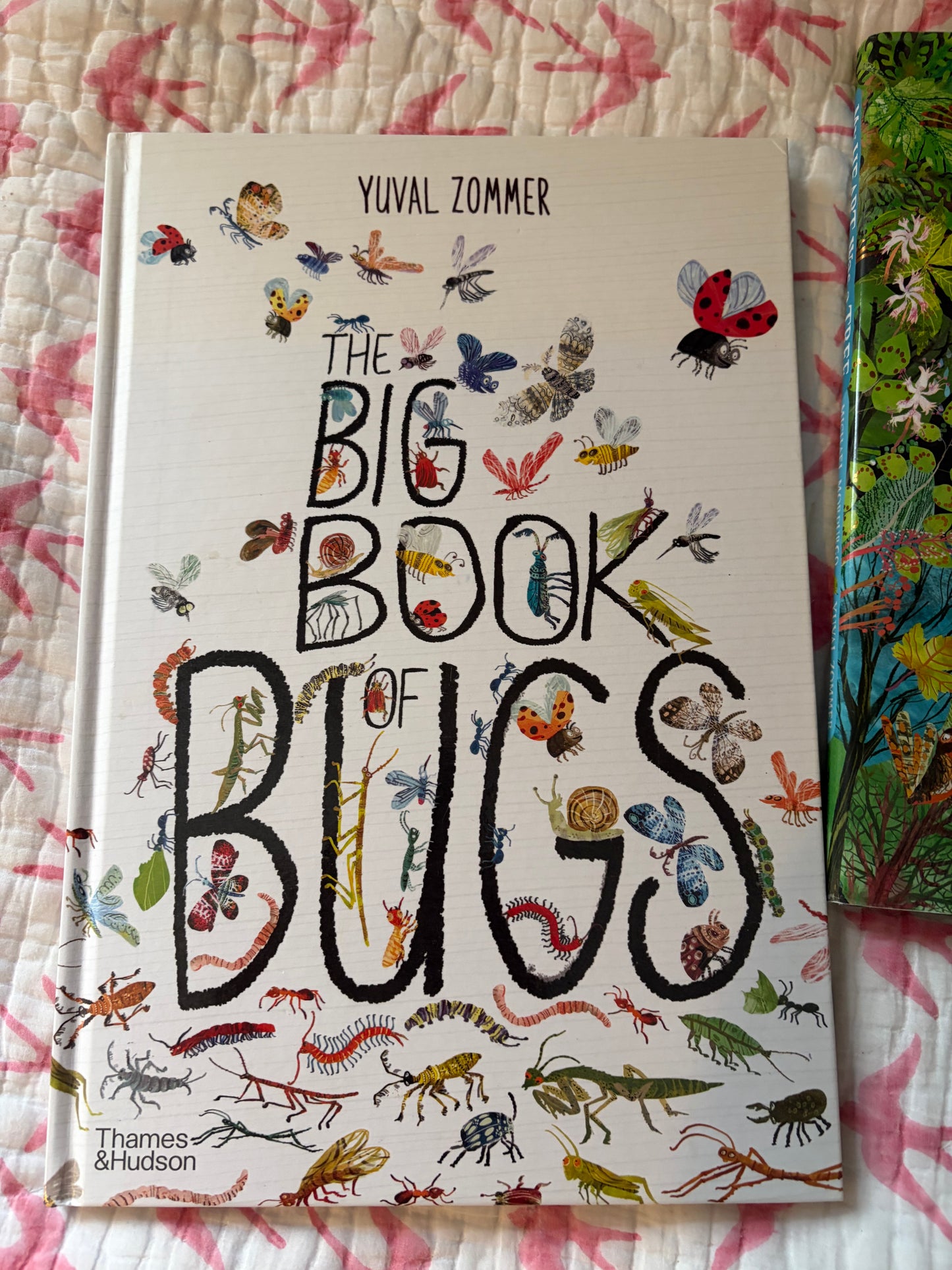 STORYBOOKS