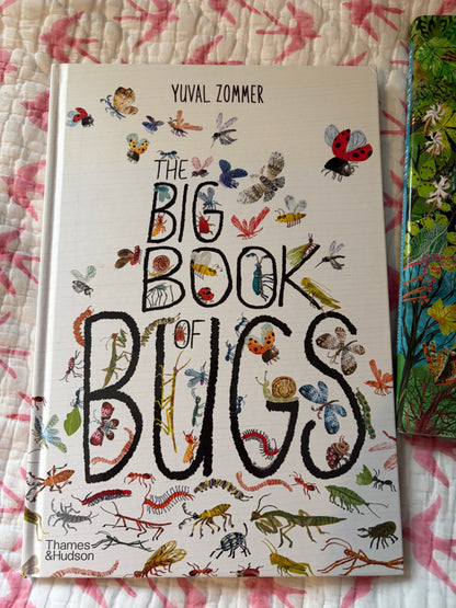 STORYBOOKS